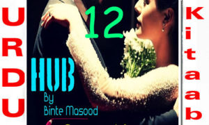 Read more about the article Hub By Binte Masood Romantic Novel Episode 12