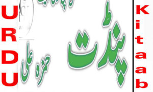 Read more about the article Pandat By Hamza Ali Urdu Novel