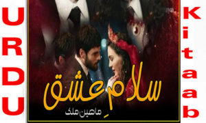 Read more about the article Salaam e Ishq by Maheen Malik Urdu Novel Season 2