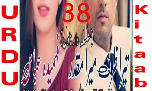 Tera Zarf Mera Muqaddar By Fahmeeda Abbas Urdu Novel Episode 38