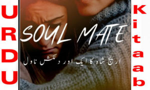 Read more about the article Soulmate Novel By Areej Shah Complete Novel