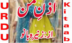 Read more about the article Azn E Man by Zunaira Bano Complete Novel