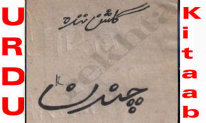 Read more about the article Chandan By Gulshan Nanda Urdu Novel
