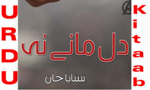 Read more about the article Dil Maane Na By Sanaya Khan Romantic Novel