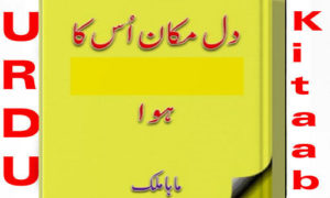 Read more about the article Dil Makan Uska Hua By Maha Malik Urdu Novel