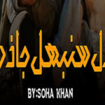 Dil Sambhal Ja Zara By Soha Khan Romantic Novel