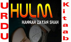 Read more about the article Hulm By Hannah Zayan Shah Romantic Novel