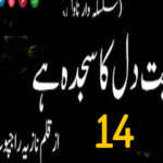 Mohabbat Dil Ka Sajda Hai By Nazia Rajpoot Novel Episode 14