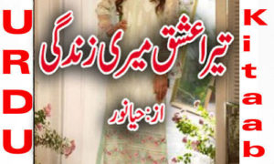 Read more about the article Tera Ishq Meri Zindagi By Haya Noor Complete Novel