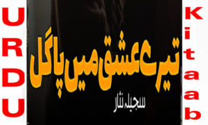 Read more about the article Tere Ishq Me Pagal By Sajeela Nisar Romantic Novel
