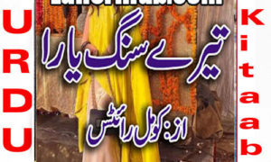 Read more about the article Tere Sang Yara By Komal Writes Complete Novel