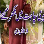 Teri Chahat Mein Bikhar Gaye Hum by S Z Complete Novel