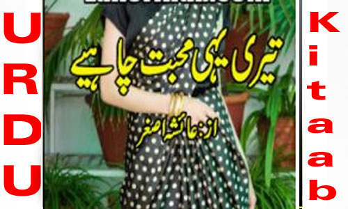 Teri Yahi Mohabbat Chahiye By Ayesha Asghar Romantic Novel