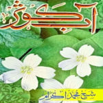 Aab e Kausar by Sh. Muhammad Ikram Complete Book
