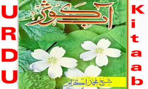 Read more about the article Aab e Kausar by Sh. Muhammad Ikram Complete Book