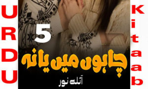 Read more about the article Chahoon Main Ya Na By Naila Noor Romantic Novel Episode 5