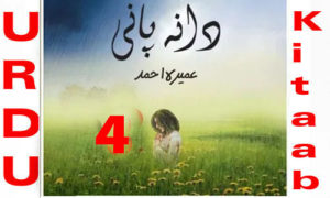 Read more about the article Dana Pani By Umera Ahmed Urdu Novel Episode 4