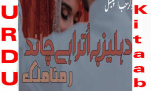 Read more about the article Dehleez Pe Utra Hai Chand By Ramna Malik Complete Novel