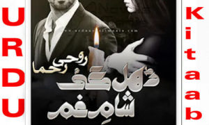 Read more about the article Dhal Gai Sham E Gham By Rohe Rehma Complete Novel