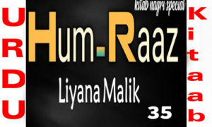 Read more about the article Hum Raaz By Liyana Malik Novel Chapter 35