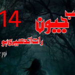 Jab Jiwan Raat Andheri Ho By Noor E Arooj Novel Episode 14
