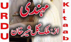 Read more about the article Mehndi By Malik Gulsher Khan Complete Novel