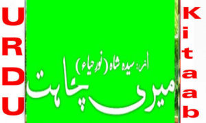 Read more about the article Meri Chahat By Syeda Shah Complete novel