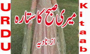 Read more about the article Meri Subah Ka Sitara By Nadia Complete Novel