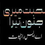 Mohabbat Meri Junoon Tera By A S Rajpoot Novel Last Episode