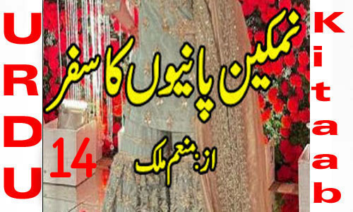 Namkeen Panion Ka Safar By Munam Malik Urdu Novel Episode 14