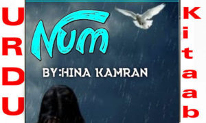 Read more about the article Num By Hina Kamran Romantic Novel