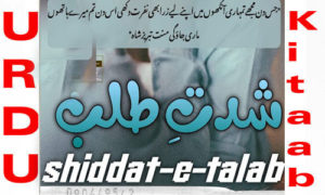 Read more about the article Shiddat E Talab By Suneha Rauf Romantic Novel Episode 10