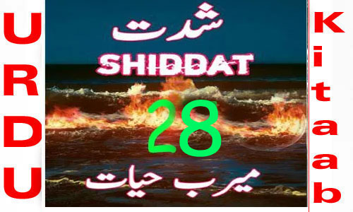 Shiddat by Meerab Hayat Urdu Novel Episode 28