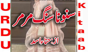 Read more about the article Suno Na Sangemarmar By Hina Asad Complete Novel