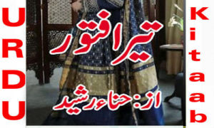 Read more about the article Tera Fatoor By Hina Rasheed Novel Episode 1 to 10