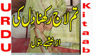 Read more about the article Tum Laaj Rakhna Dil Ki By Nishay Batool Complete Novel
