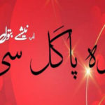 Woh Pagal Si By Nishay Batool Complete Novel