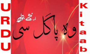 Read more about the article Woh Pagal Si By Nishay Batool Complete Novel