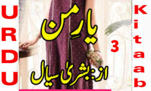 Read more about the article Yaar Mann By Bushra Sayal Novel Episode 3
