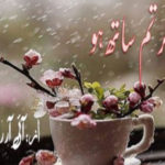 Agar Tum Saath Ho By I R Writes Complete Novel