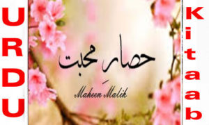 Read more about the article Hisar E Mohabbat By Maheen Malik Complete Novel