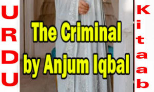 Read more about the article The Criminal By Anjum Iqbal Complete Novel