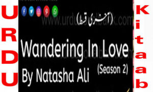 Read more about the article Wandering In Love by Natasha Ali Season 2 Complete Novel