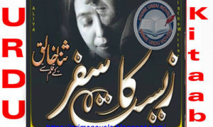Read more about the article Zeest Ka Safar By Sana Khaliq Complete Novel