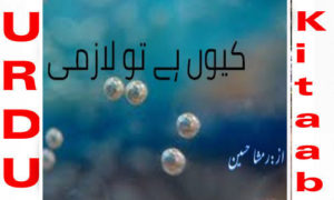 Read more about the article Kyun Hai Tu Lazmi By Rimsha Hussain Romantic Novel