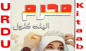 Read more about the article Mehram by Anila Kanwal Complete Novel