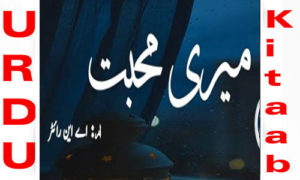 Read more about the article Meri Mohabbat By AN Writer Complete Novel