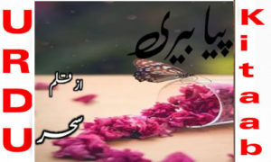 Read more about the article Piya Beri By Sehar Complete Novel