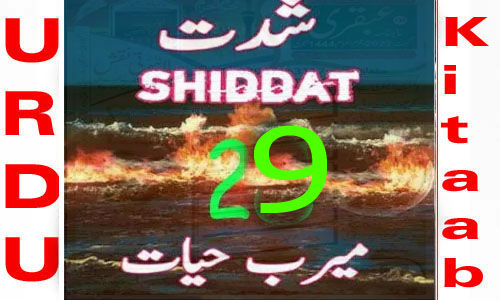 Shiddat by Meerab Hayat Urdu Novel Episode 29
