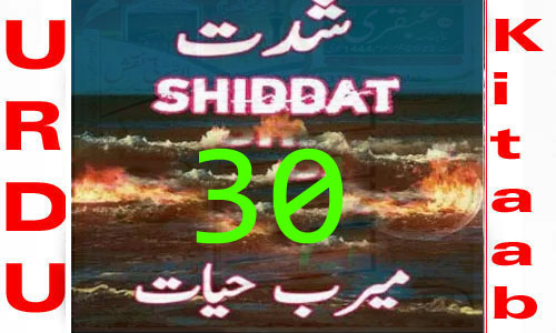 Shiddat by Meerab Hayat Urdu Novel Episode 30